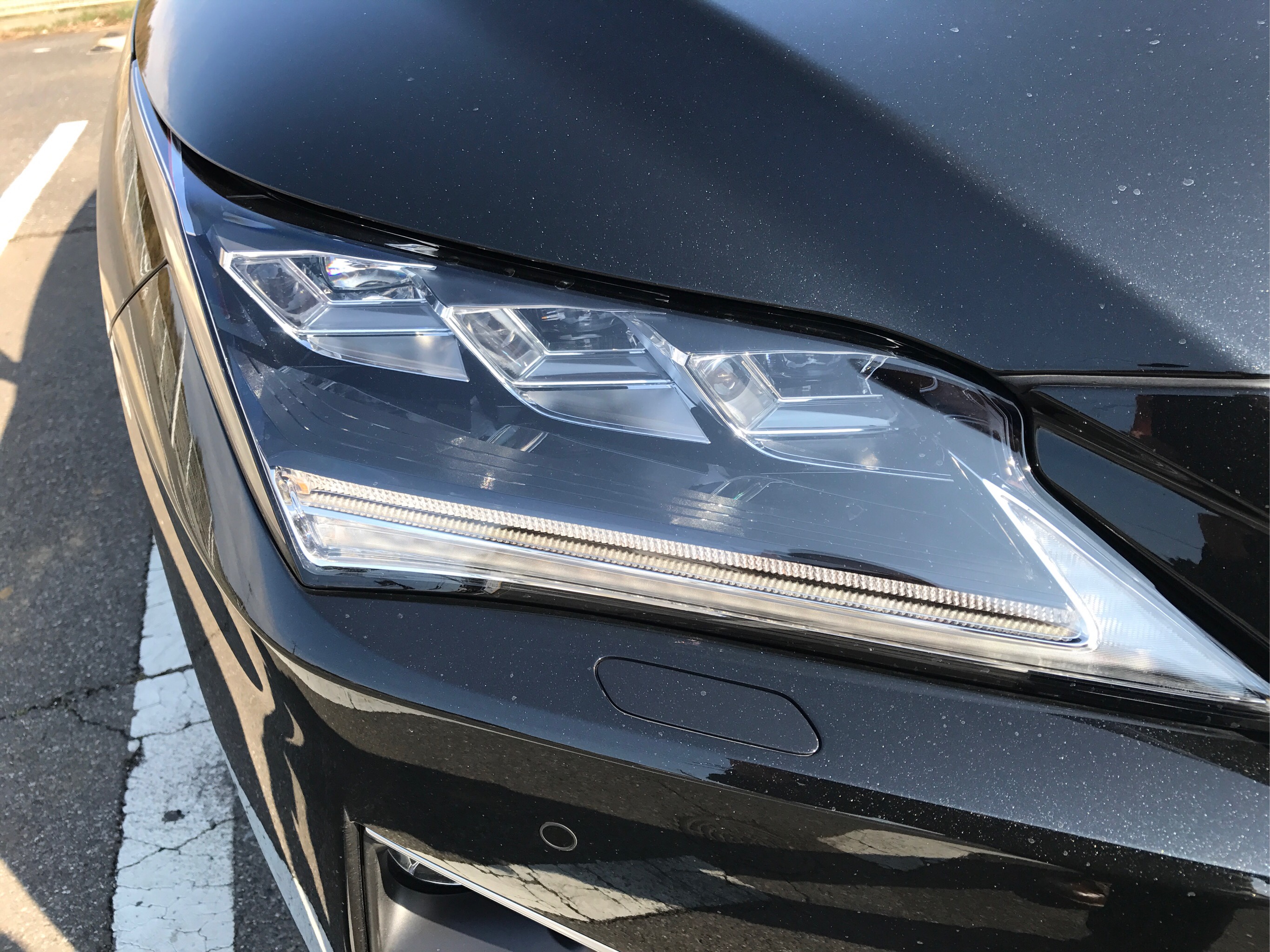 国内正規品 ｒｘ ｒｘ４５０ｈ バージョンｌ レクサス 評価書付 初回特典付 Www Bedandbiscuitspetsittingservices Com